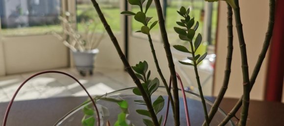 Casa de 4 dormitorios en Cravant, France No. 154301 12