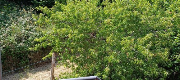 5 غرف نوم منزل في Colunga, Spain رقم 144091 32