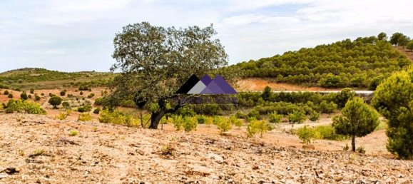 40840m² Land in Odeleite, Portugal No. 171756 12