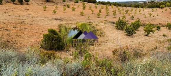 40840m² Land in Odeleite, Portugal No. 171756 5
