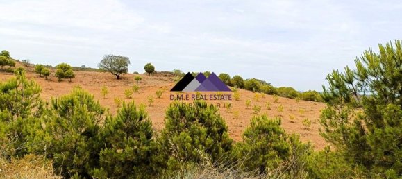 40840m² Land in Odeleite, Portugal No. 171756 4