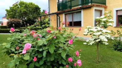 6 rooms House in Grosswilfersdorf, Austria No. 130948