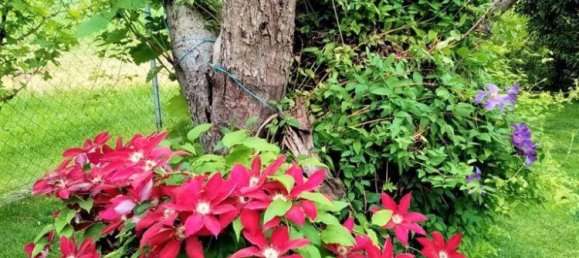 6 rooms House in Grosswilfersdorf, Austria No. 130948 6