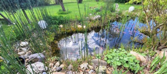 6 rooms House in Grosswilfersdorf, Austria No. 130948 4