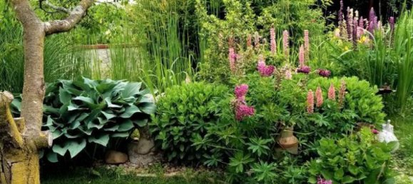 6 rooms House in Grosswilfersdorf, Austria No. 130948 45