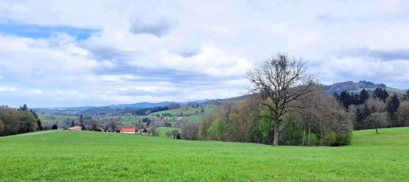 Grundstück in Purgstall an der Erlauf, Austria, Nr. 242892 3