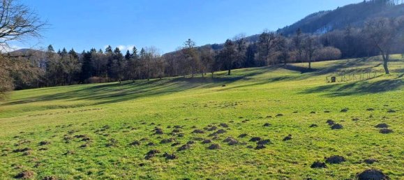 Grundstück in Purgstall an der Erlauf, Austria, Nr. 242892 5