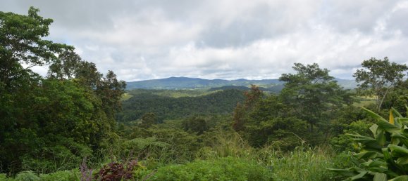 Ферма с 3 спальнями в Millaa Millaa, Австралия № 891 15