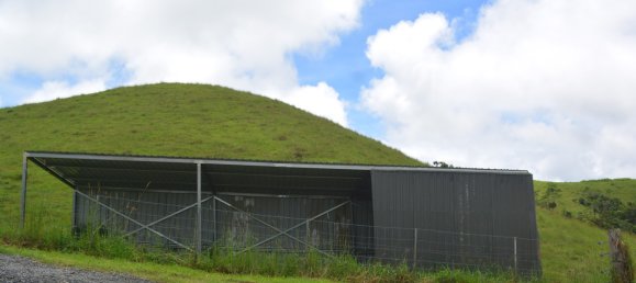 Ферма с 3 спальнями в Millaa Millaa, Австралия № 891 16