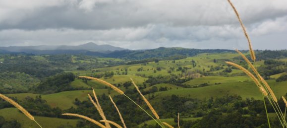 Ферма с 3 спальнями в Millaa Millaa, Австралия № 891 24