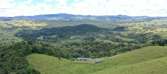 Ферма с 3 спальнями в Millaa Millaa, Австралия № 891 2