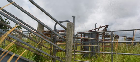 Ферма с 3 спальнями в Millaa Millaa, Австралия № 891 22