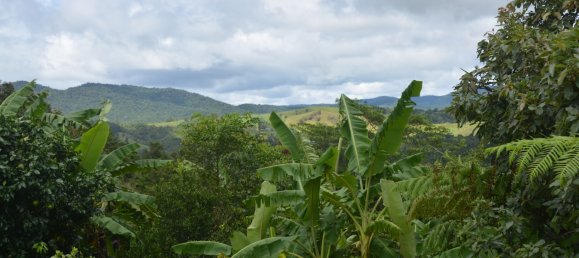 Ферма с 3 спальнями в Millaa Millaa, Австралия № 891 21