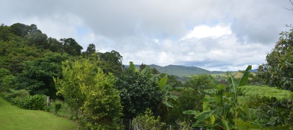 Ферма с 3 спальнями в Millaa Millaa, Австралия № 891 19