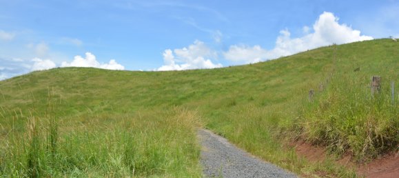 Ферма с 3 спальнями в Millaa Millaa, Австралия № 891 20