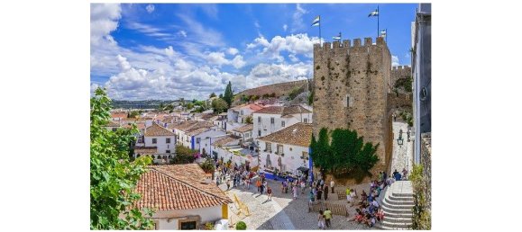 قطعة أرض في Caldas da Rainha, Portugal 2200متر مربع رقم 140465 13