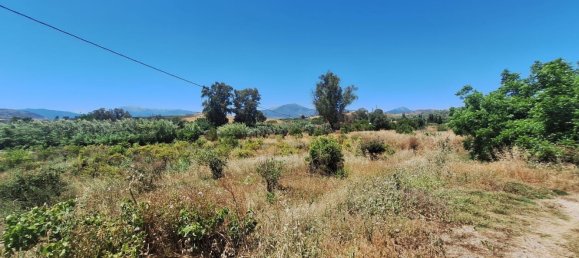  Land in Coin, Spain No. 157611 23