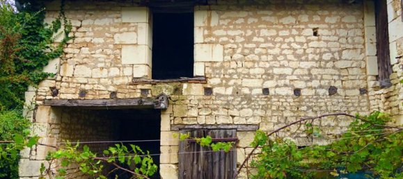 2 غرف نوم منزل في Marcilly-sur-Vienne, France رقم 160743 9