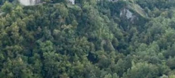 10 bedrooms Villa in Camporgiano, Italy No. 288718 20