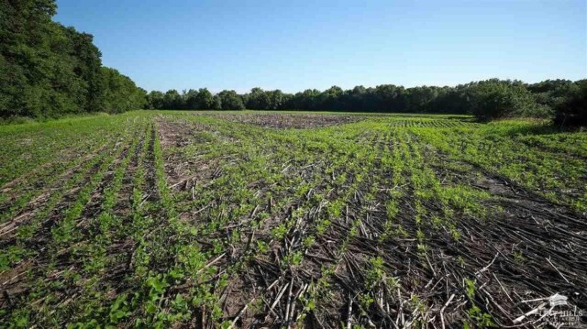  Land in Burlingame, USA No. 506397