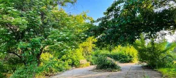 Quinta de 14 divisões em Gorlitz, Germany N.º 201572 6