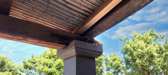 3 rooms Apartment in Narbolia, Italy No. 15668 9