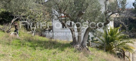 8 rooms Villa in Zagarise, Italy No. 24459 17