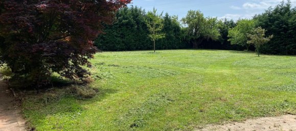 9 rooms Villa in Vigarano Mainarda, Italy No. 143994 2