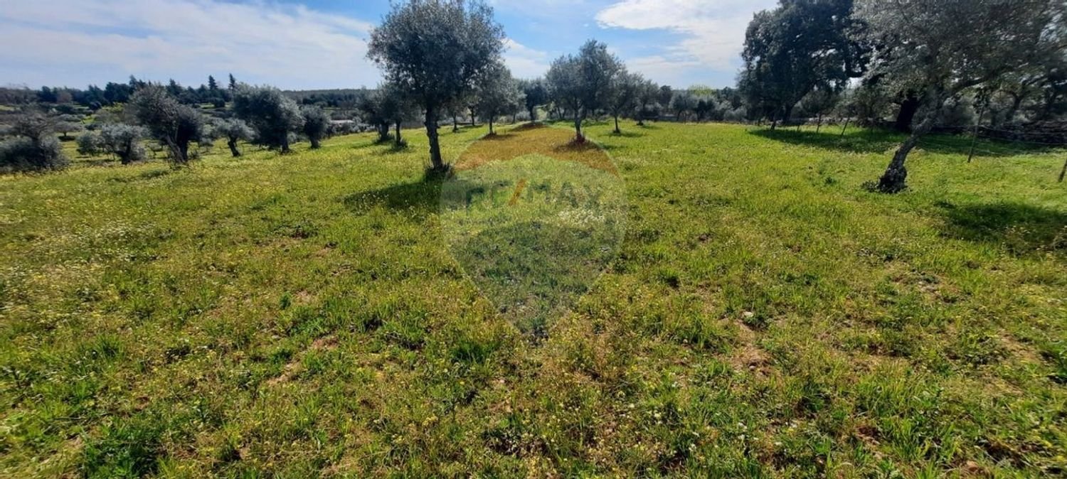 21125m² Land in Idanha a Nova, Portugal No. 57928