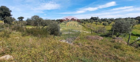 21125m² Land in Idanha a Nova, Portugal No. 57928 8