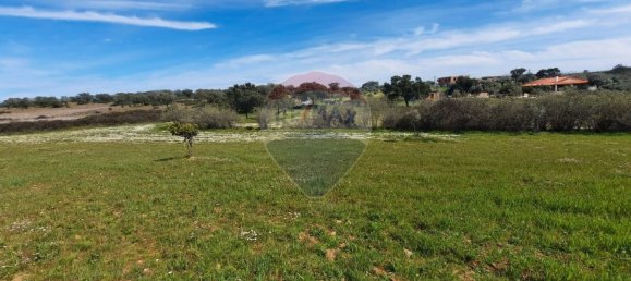 21125m² Land in Idanha a Nova, Portugal No. 57928 9