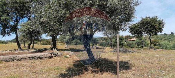 21125m² Land in Idanha a Nova, Portugal No. 57928 4