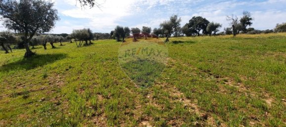 21125m² Land in Idanha a Nova, Portugal No. 57928 6