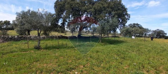 21125m² Land in Idanha a Nova, Portugal No. 57928 14