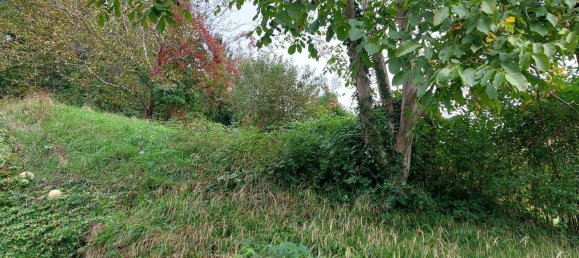 Terreno em Petzenkirchen, Austria N.º 246659 12