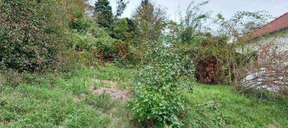 Terreno em Petzenkirchen, Austria N.º 246659 5