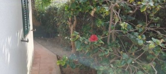 5 rooms Apartment in Alghero, Italy No. 47623 14