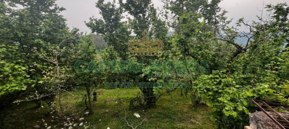 8000m² Land in Mugnano del Cardinale, Italy No. 131174 14