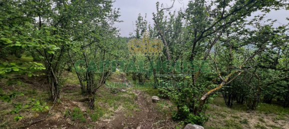 8000m² Land in Mugnano del Cardinale, Italy No. 131174 8
