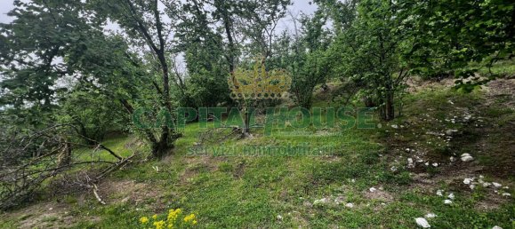 8000m² Land in Mugnano del Cardinale, Italy No. 131174 3
