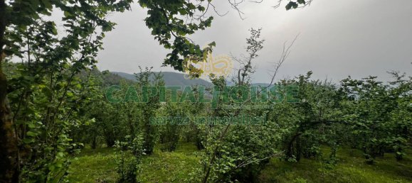 8000m² Land in Mugnano del Cardinale, Italy No. 131174 15