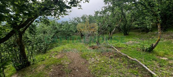 8000m² Land in Mugnano del Cardinale, Italy No. 131174 7