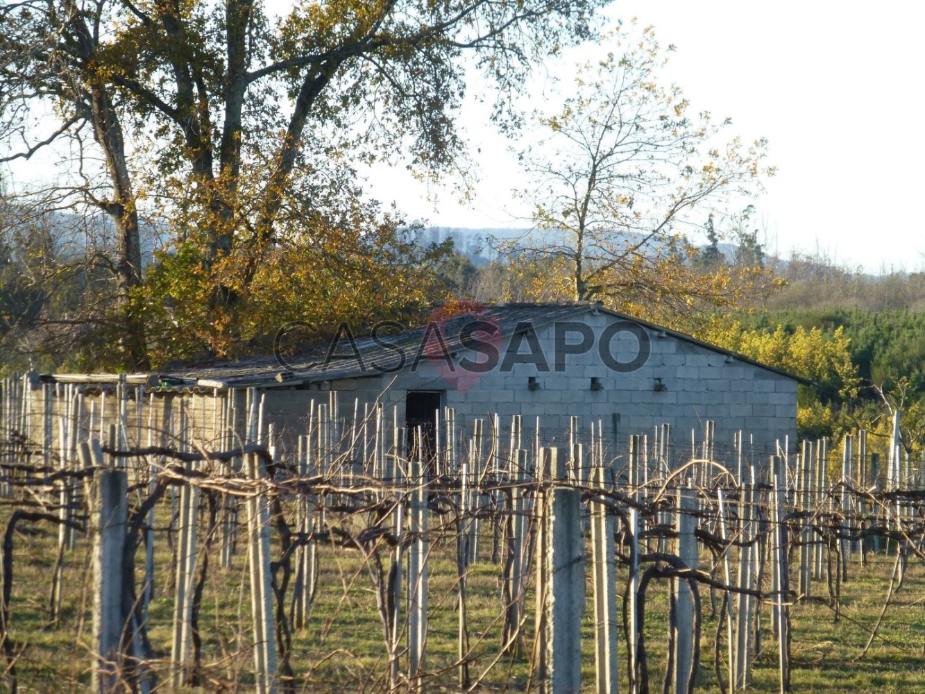 Terrain à Barbeita, Portugal No. 328049