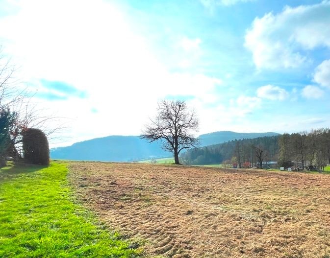  Land in Mariatrost, Austria No. 103603