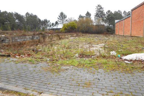  Land in Barcelos, Portugal No. 202290
