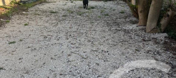 4 bedrooms Townhouse in Clery-Saint-Andre, France No. 41166 17