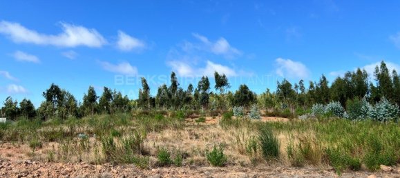 Grundstück in Torres Vedras, Portugal 7363m², Nr. 299146 2