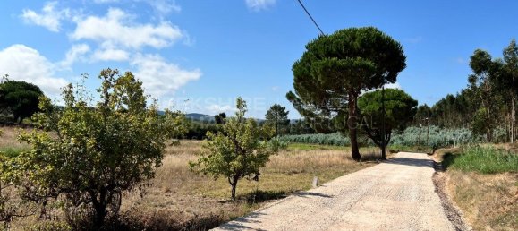 Grundstück in Torres Vedras, Portugal 7363m², Nr. 299146 9