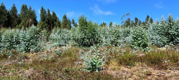 Grundstück in Torres Vedras, Portugal 7363m², Nr. 299146 5