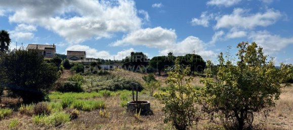 Grundstück in Torres Vedras, Portugal 7363m², Nr. 299146 7